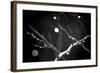 Branches in Rain-Ursula Abresch-Framed Photographic Print