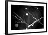 Branches in Rain-Ursula Abresch-Framed Photographic Print