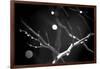 Branches in Rain-Ursula Abresch-Framed Photographic Print