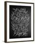 Branches in Silver-Cat Coquillette-Framed Giclee Print