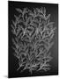 Branches in Silver-Cat Coquillette-Mounted Giclee Print