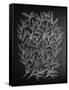 Branches in Silver-Cat Coquillette-Framed Stretched Canvas