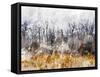 Branches in the Sky-Chamira Young-Framed Stretched Canvas