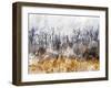 Branches in the Sky-Chamira Young-Framed Art Print