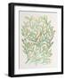Branches in Turquoise and Gold-Cat Coquillette-Framed Giclee Print