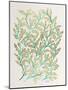 Branches in Turquoise and Gold-Cat Coquillette-Mounted Giclee Print