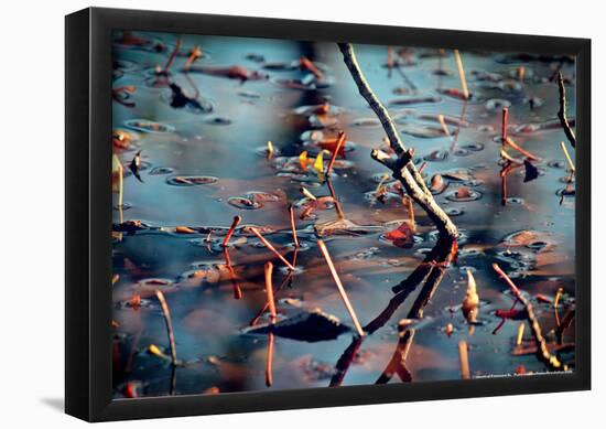 Branches in Water-null-Framed Poster