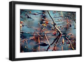 Branches in Water-null-Framed Photo