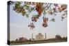 Branches of a Flowering Tree with Red Flowers Frame the Taj Mahal Symbol of Islam in India-Roberto Moiola-Stretched Canvas