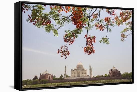 Branches of a Flowering Tree with Red Flowers Frame the Taj Mahal Symbol of Islam in India-Roberto Moiola-Framed Stretched Canvas