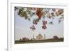 Branches of a Flowering Tree with Red Flowers Frame the Taj Mahal Symbol of Islam in India-Roberto Moiola-Framed Photographic Print