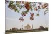 Branches of a Flowering Tree with Red Flowers Frame the Taj Mahal Symbol of Islam in India-Roberto Moiola-Mounted Photographic Print