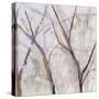 Branches of a Wish Tree A-Danna Harvey-Stretched Canvas