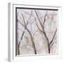 Branches of a Wish Tree A-Danna Harvey-Framed Giclee Print