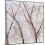 Branches of a Wish Tree A-Danna Harvey-Mounted Premium Giclee Print