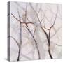 Branches of a Wish Tree B-Danna Harvey-Stretched Canvas