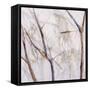 Branches of a Wish Tree D-Danna Harvey-Framed Stretched Canvas