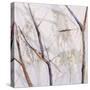 Branches of a Wish Tree D-Danna Harvey-Stretched Canvas