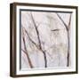 Branches of a Wish Tree D-Danna Harvey-Framed Giclee Print