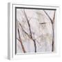 Branches of a Wish Tree D-Danna Harvey-Framed Giclee Print