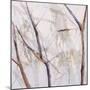 Branches of a Wish Tree D-Danna Harvey-Mounted Giclee Print