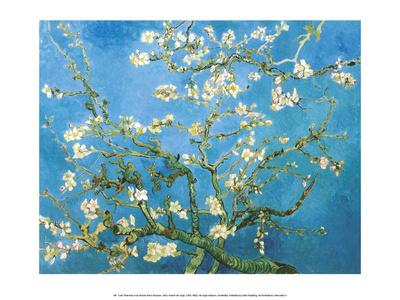 https://imgc.allpostersimages.com/img/posters/branches-of-an-almond-tree-in-bloom-1890_u-L-F801Y60.jpg?artPerspective=n