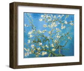 Branches of an Almond Tree in Bloom, 1890-Vincent van Gogh-Framed Art Print