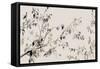 Branches of Gold-Asia Jensen-Framed Stretched Canvas