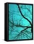 Branches on Teal I-Gail Peck-Framed Stretched Canvas