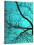 Branches on Teal I-Gail Peck-Stretched Canvas