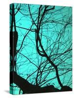 Branches on Teal II-Gail Peck-Stretched Canvas