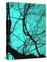 Branches on Teal II-Gail Peck-Stretched Canvas