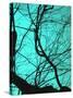 Branches on Teal II-Gail Peck-Stretched Canvas