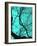 Branches on Teal II-Gail Peck-Framed Photographic Print