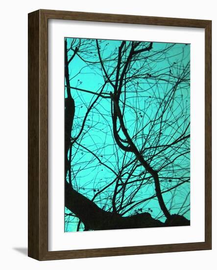 Branches on Teal II-Gail Peck-Framed Photographic Print