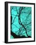 Branches on Teal II-Gail Peck-Framed Photographic Print
