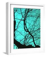 Branches on Teal II-Gail Peck-Framed Photographic Print