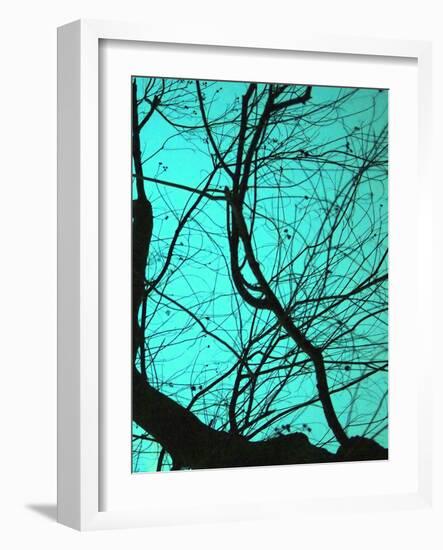 Branches on Teal II-Gail Peck-Framed Photographic Print