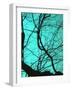 Branches on Teal II-Gail Peck-Framed Photographic Print