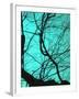 Branches on Teal II-Gail Peck-Framed Photographic Print