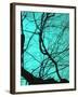 Branches on Teal II-Gail Peck-Framed Photographic Print