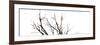 Branches on White Background-Clive Nolan-Framed Photographic Print