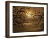 Branches Surrounding Harvest Moon-Robert Llewellyn-Framed Premium Photographic Print