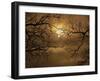 Branches Surrounding Harvest Moon-Robert Llewellyn-Framed Premium Photographic Print