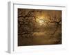 Branches Surrounding Harvest Moon-Robert Llewellyn-Framed Premium Photographic Print