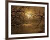 Branches Surrounding Harvest Moon-Robert Llewellyn-Framed Photographic Print