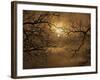 Branches Surrounding Harvest Moon-Robert Llewellyn-Framed Photographic Print