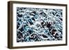 Branches with Snow-Ursula Abresch-Framed Photographic Print