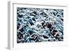 Branches with Snow-Ursula Abresch-Framed Photographic Print