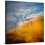 Branches-Ursula Abresch-Stretched Canvas